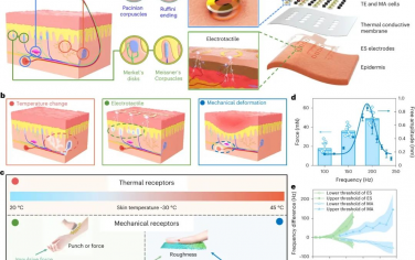 Nature Electronics：可穿戴，实现多种触觉