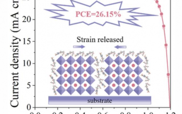 AM：通过玻璃化转变温度调节实现高效稳定钙钛矿太阳能电池的应变释放