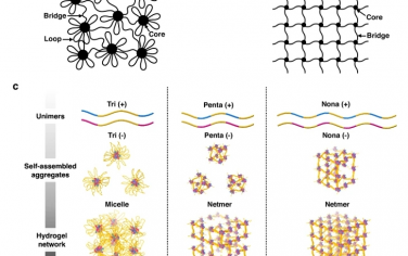 Nat Commun：通过抑制多嵌段聚电解质的胶束化形成富桥无环水凝胶网络
