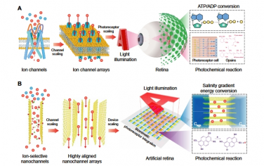 Science Advances：用于自供电离子装置的光响应高度排列纳米通道的可扩展集成