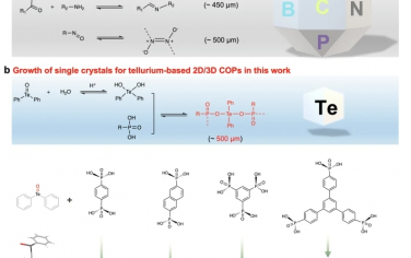Nat Commun：通过非常规 Te-O-P 键生长二维或三维共价有机聚合物大单晶