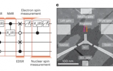 Nature Nanotechnology：四量子位寄存器中电子和核自旋的高保真初始化和控制