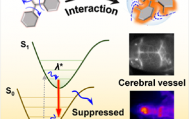 ACS Nano：通过分子内排斥相互作用构建NIR-II AIE探针以实现高对比度胶质母细胞瘤成像