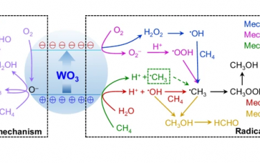 唐智勇院士Nature Commun：WO3光催化甲烷氧化反应机理