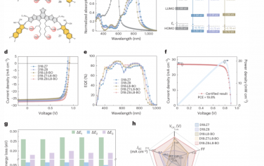 Nature Energy：用于有机太阳能电池的不对称结构和苯基取代烷基侧链的非富勒烯受体