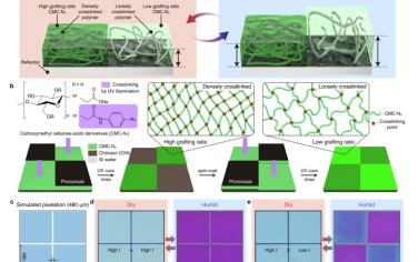 Nat Commun：化学和几何可编程的光反应聚合物用于转化湿度敏感的全彩色设备