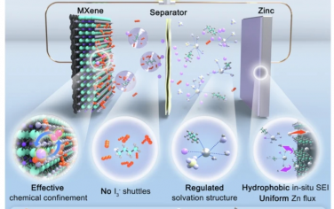 Nat Commun：锌-碘电池三方协同优化策略