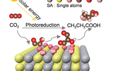 西安交通大学Adv Mater：Cu-ZnS调控碳碳偶联实现光催化还原CO2制备丙酸