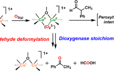 JACS：过氧化结构双Cu化合物实现类似双加氧酶反应