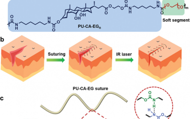 AFM：用于智能缝合的可调生物衍生类皮肤形状记忆纤维