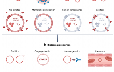 Nature Reviews Bioengineering：细胞外囊泡的物理化学进展