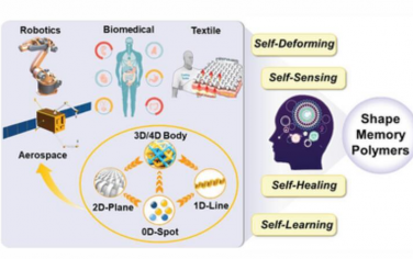 AFM：形状记忆聚合物的最新进展 10.1002/adfm.202312036