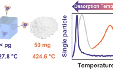 南京大学JACS：显微镜辅助程序升温脱附研究分子筛的脱附