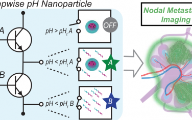 ACS Nano：逐级的pH超敏感性胶束能够克服系统性淋巴结递送的pKa障碍