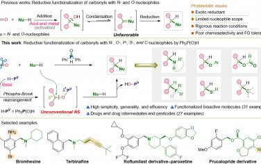 湖南大学&湖南第一师范&麦吉尔大学Science Advances：二酚磷氧直接还原羰基