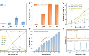 PNAS：通过优先乙二醇氧化提高Cu−O−Ti活性位点上NO3-还原为NH3的效率和选择性
