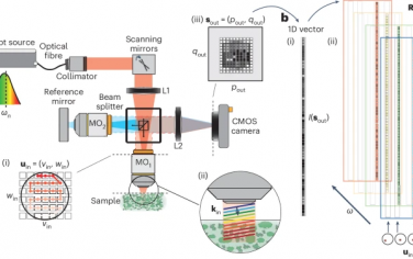 Nature Photonics：用于超快3D无标记显微镜的多光谱反射矩阵