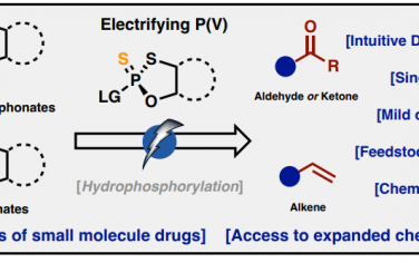 Angew：P(V)试剂的电化学极性反应、自由基反应