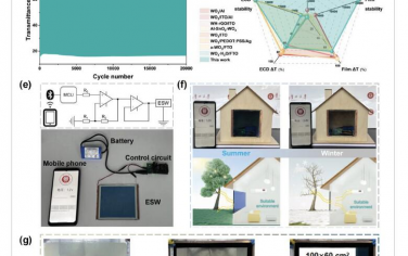 AM：超大型、高循环稳定性的氧化钨电致变色智能窗