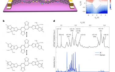 Nature Nanotechnology：单分子自由基中量子自旋转化的调控