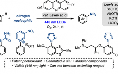 JACS：吖啶-Lewis酸配合光催化C(sp2)-H氨基化