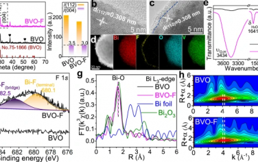 北京化工&北师大Nature Commun：表面氟化增强BiVO4光电催化甘油氧化制备甲酸