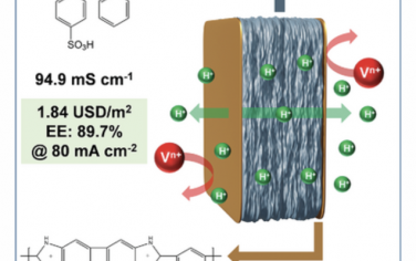 AEM：用于钒氧化还原液流电池的磺化聚苯乙烯/聚苯并咪唑双层膜