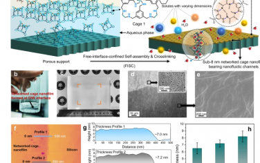 Nature Communications：用于自适应筛选的具有可调纳米流体通道的亚8nm网络笼状纳米膜