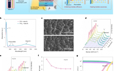 Nature Photonics：具有淀粉-聚碘界面缓冲层的钙钛矿太阳能电池疲劳性能的改善