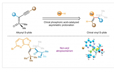 Nature Chemistry：手性酰基取代稳定乙烯基磺酰亚基的发现与合成