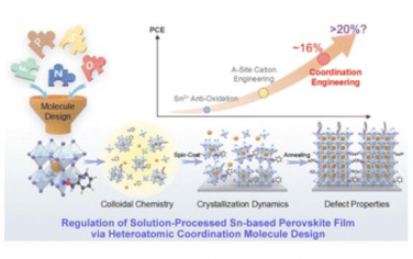 Chem. Soc. Rev.：用于先进无铅锡基钙钛矿光伏配位工程的杂原子分子