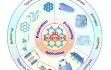 Chem. Soc. Rev.：二维聚合物的最新进展：合成、组装和能量相关应用