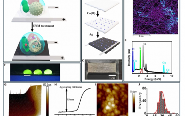 Science Advances：电极化纳米级表面产生活性氧化和氯化物质，用于灭活微生物