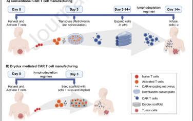 Biomaterials：可植入的CAR T细胞工厂用于增强实体瘤治疗