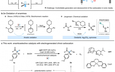 清华大学Nature Commun：电化学立体选择性SN1合成