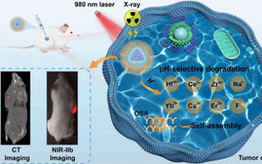 Nano Lett：氟化铪/锆软化的纳米探针用于NIR-IIb/CT双模态生物成像
