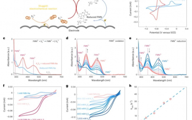 Nature Energy：一种用于水性多硫化物基氧化还原液流电池的活性耐用分子催化剂