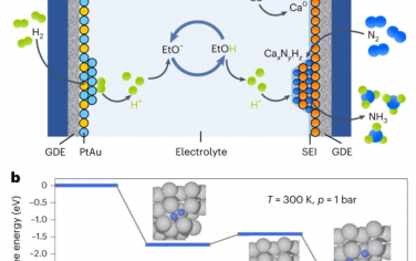 Nature Materials：用于电化学氨合成的钙介导氮还原