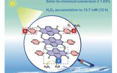 AEM：用于H2O2光合作用的A–D–A型萘二酰亚胺超分子