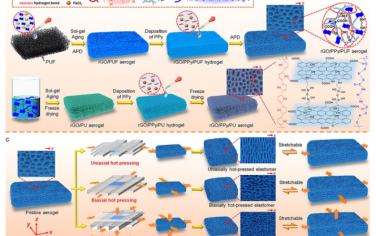 Nat. Commun.：可拉伸的负泊松比多孔超材料