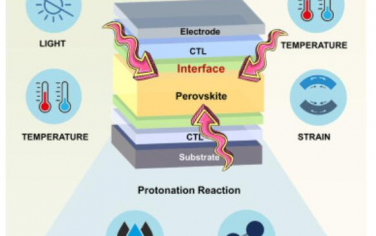 Chem：卤化物钙钛矿光伏稳定性的基本理解：界面的重要性