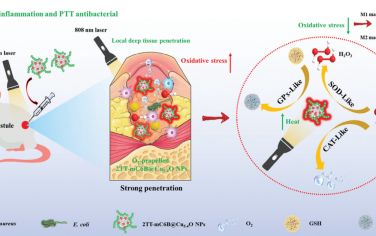 Adv. Mater：基于光热疗法的一站式集成纳米制剂用于促进深部感染愈合和抑制炎症
