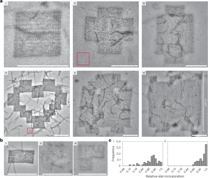 Nature Nanotechnology Dna