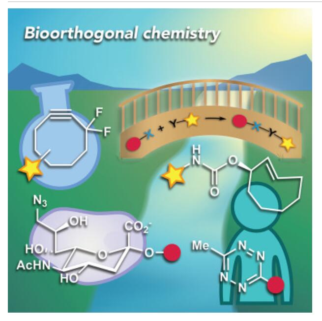 纳米人-Chem：生物正交化学：连接化学、生物学和医学