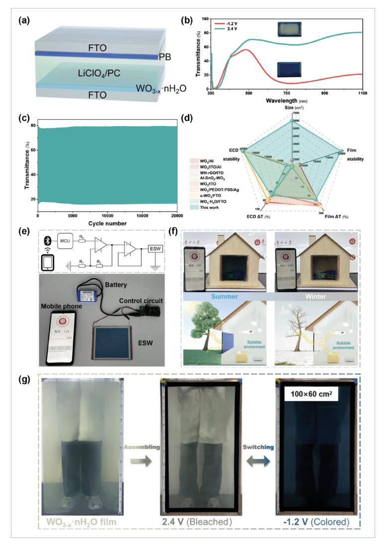 AM：超大型、高循环稳定性的氧化钨电致变色智能窗.jpg